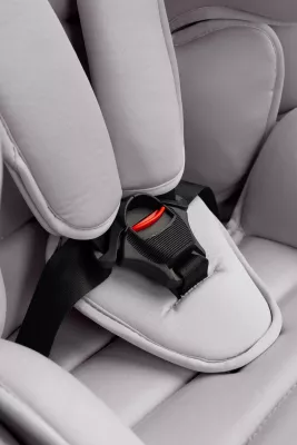 Caretero Falcon i-Size 2025 ⭐⭐⭐⭐⭐ Fresh Grey + u nás ZÁRUKA 3 ROKY a KAPSÁŘ ZDARMA